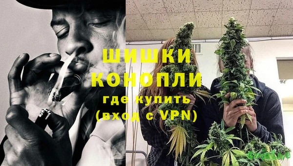 кристаллы Инта