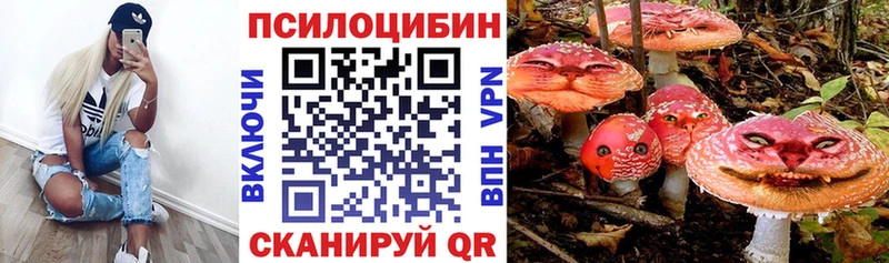 Купить закладки  Бавлы  Псилоцибиновые грибы Magic Shrooms 